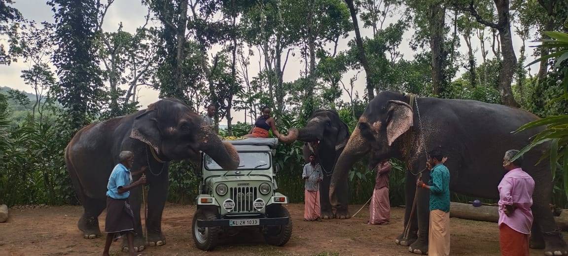 Elephant Ride 2